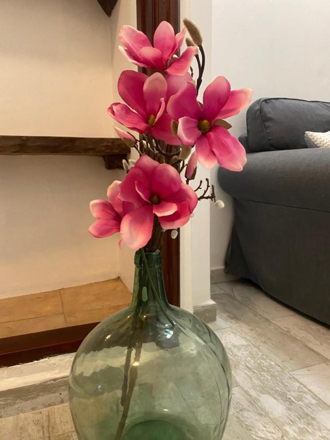 Apartamento La Pepa - Santa Cruz De La Palma Santa Cruz de la Palma  Luaran gambar